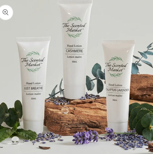 The Scented Market Hand and Body Lotion Travel Size
