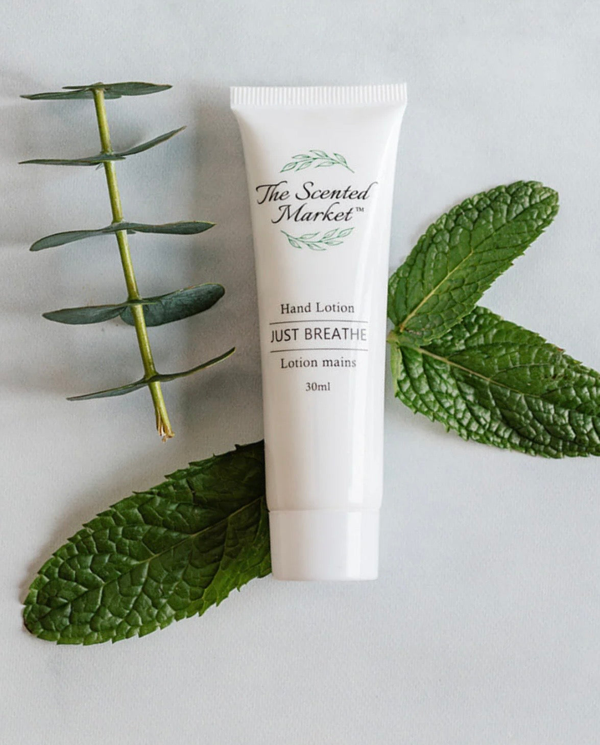 The Scented Market Hand and Body Lotion Travel Size